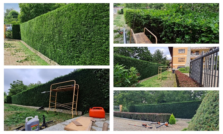 project